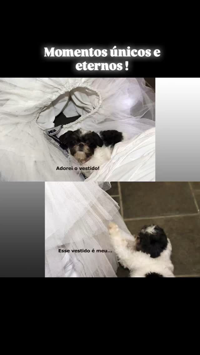 Felicidades aos noivos .
Não poderia faltar o mimo da filha peludinha.
A benção do beijo na testa faz a alma brilhar .
Muito sorriso , alegria dos padrinhos em pousar para fotos .
Não faltando o momento que será eternizado por suas vidas.
Deus abençoe esse novo caminho escolhido por vcs .

Obrigada pela confiança🌹

@___lsantoss
@___ncristiann

@lilianphotographer 

#casamento #casamentoemchacara #casamentochacara #foto #eventos #coberturafotografica #fotografia #fotografiacomamor 
#fotosdecasamento #unicos #monentosunicos